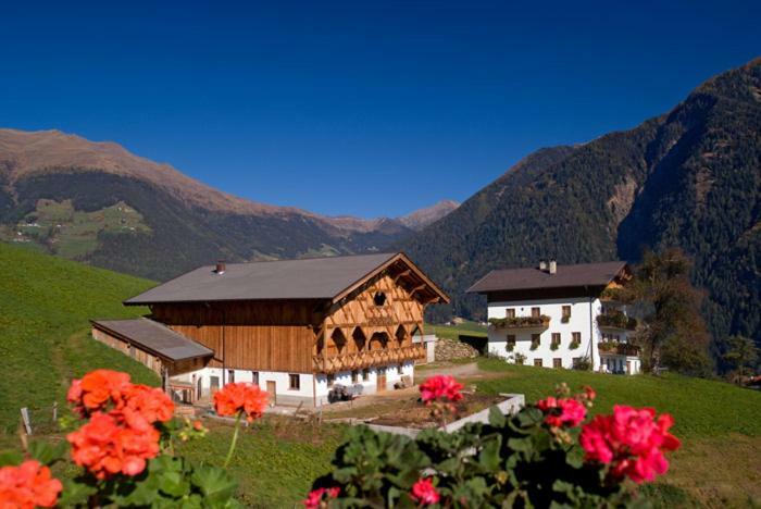 Bauernhof Moarhof *